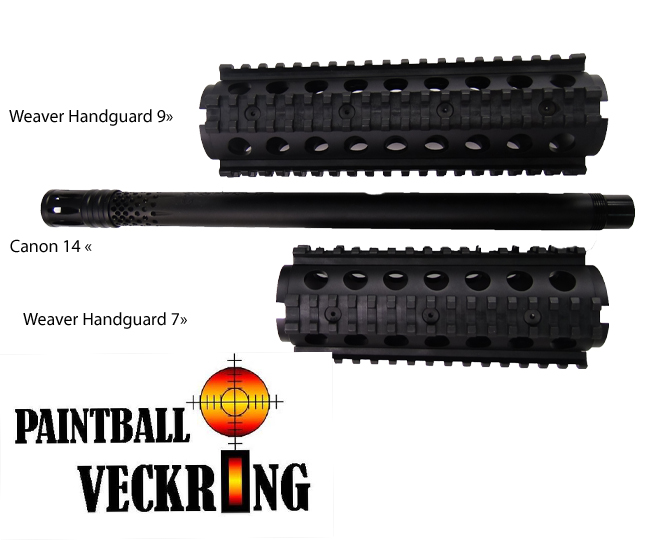 1st image description